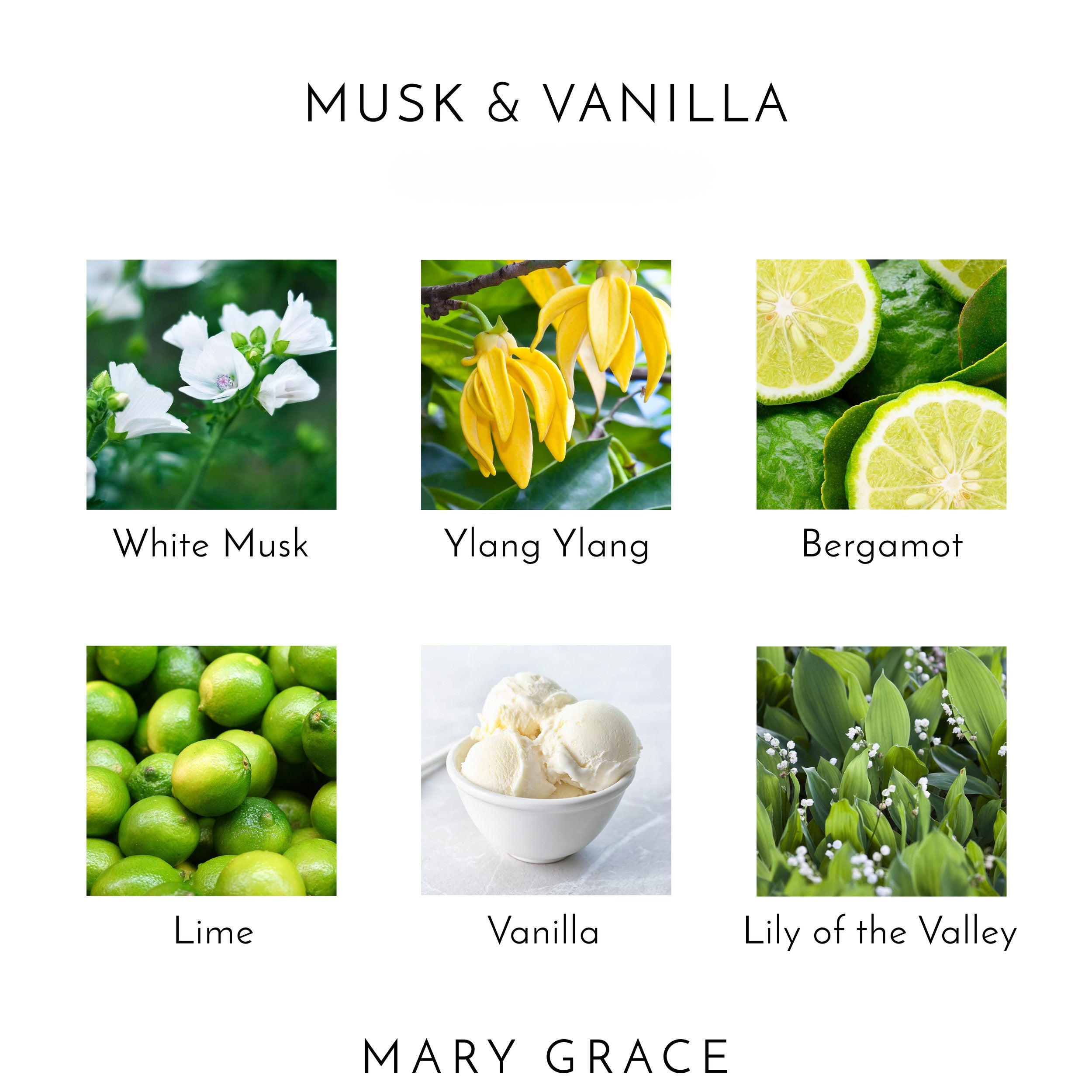 Musk &amp; Vanilla Eau De Parfum (4 Pack)